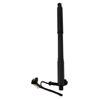 TRQ® - Liftgate Lift Support