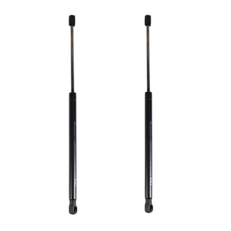 TRQ® GSA06079 - Liftgate Lift Support Set
