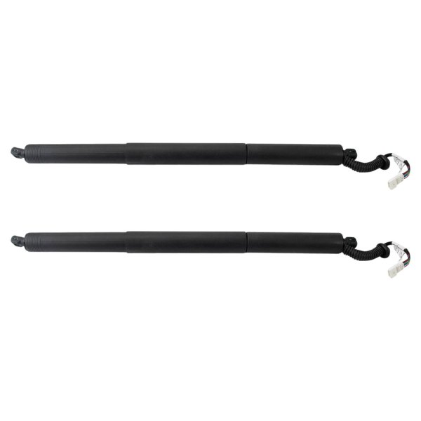 TRQ® - Liftgate Lift Support Set