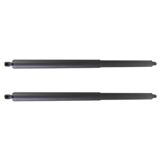 TRQ® - Liftgate Lift Support Set