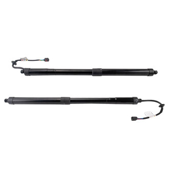 TRQ® - Liftgate Lift Support Set