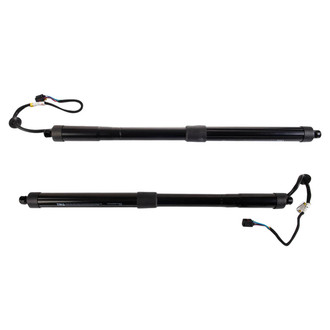 TRQ® - Liftgate Lift Support Set