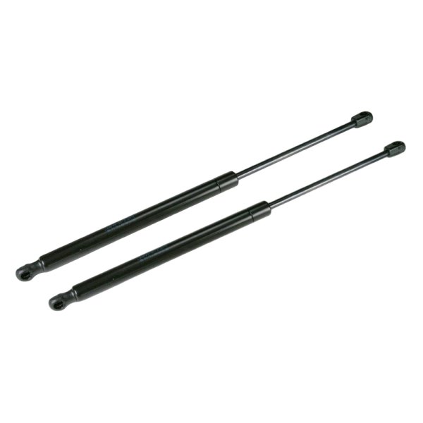 TRQ® - Tailgate Lift Support Set