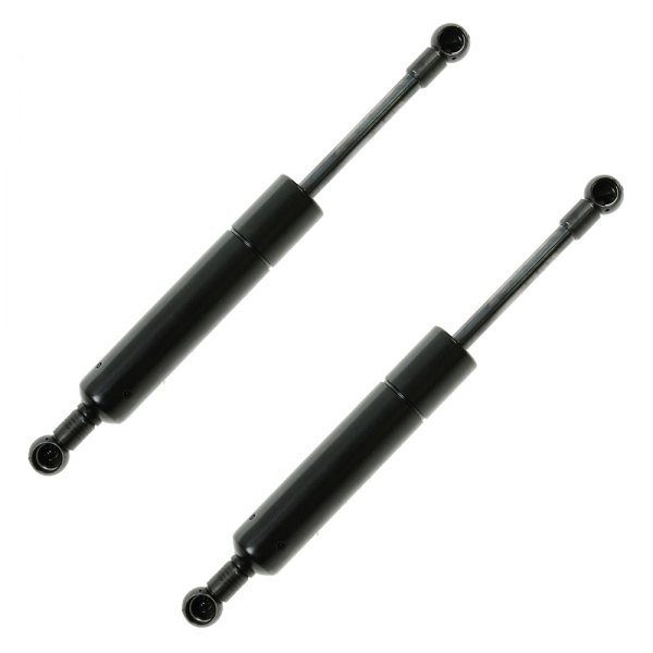 TRQ® - Liftgate Lift Support Set