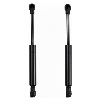 TRQ® - Driver and Passenger Side Trunk Lift Support Set