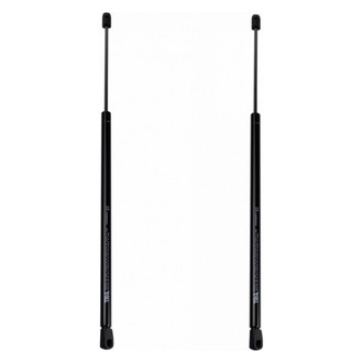 TRQ® - Back Glass Lift Support