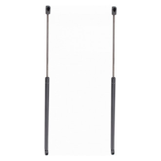 TRQ® - Driver and Passenger Side Liftgate Lift Support Set