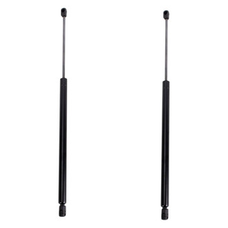 TRQ® - Driver and Passenger Side Liftgate Lift Support Set