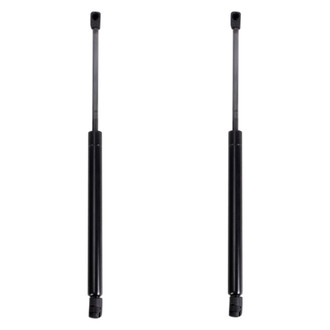 TRQ® - Driver and Passenger Side Liftgate Lift Support Set