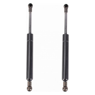 TRQ® - Driver and Passenger Side Trunk Lift Support Set
