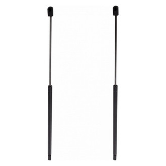 TRQ® - Driver and Passenger Side Back Glass Lift Support Set