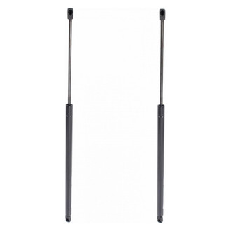 TRQ® - Driver and Passenger Side Liftgate Lift Support Set