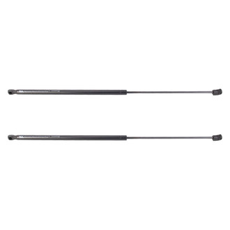 TRQ® - Driver and Passenger Side Liftgate Lift Support Set