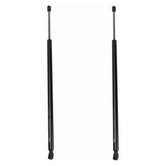 TRQ® - Driver and Passenger Side Liftgate Lift Support Set