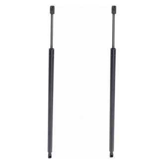 TRQ® - Driver and Passenger Side Liftgate Lift Support Set