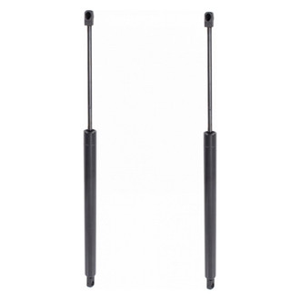TRQ® - Driver and Passenger Side Liftgate Lift Support Set