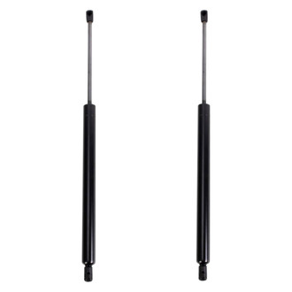 TRQ® - Driver and Passenger Side Liftgate Lift Support Set
