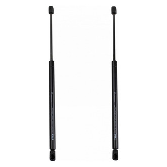 TRQ® - Driver and Passenger Side Liftgate Lift Support Set