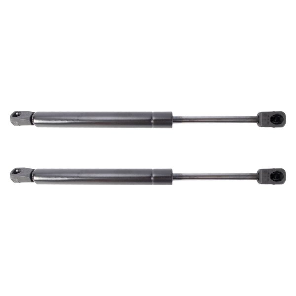 TRQ® - Driver and Passenger Side Trunk Lift Support Set