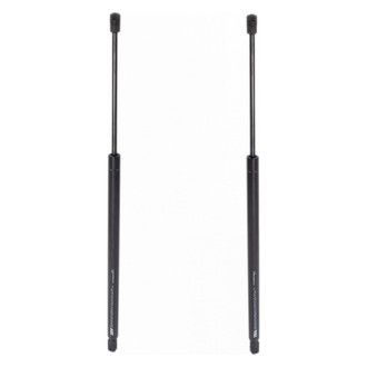 TRQ® - Liftgate Lift Support