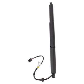 TRQ® - Liftgate Lift Support