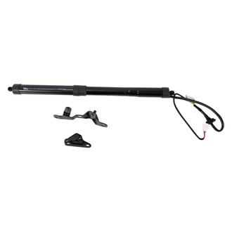 TRQ® - Passenger Side Liftgate Lift Support