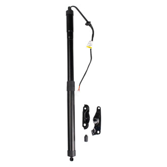 TRQ® - Driver Side Liftgate Lift Support