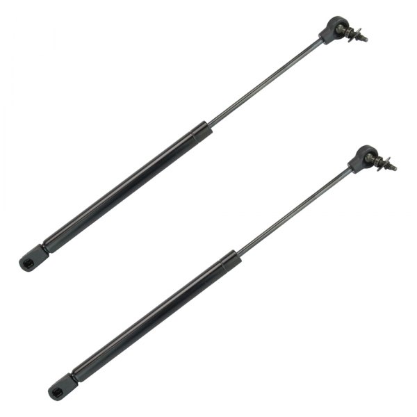 TRQ® - Rear Back Glass Lift Support Set