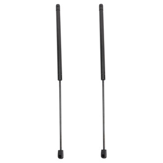 TRQ® - Driver and Passenger Side Back Glass Lift Support Set
