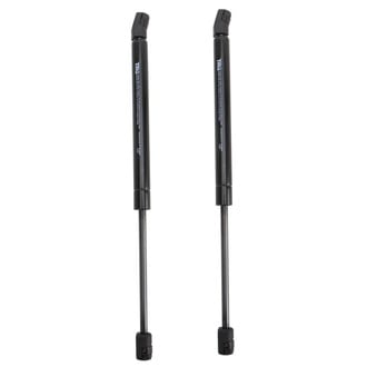 TRQ® - Driver and Passenger Side Back Glass Lift Support Set
