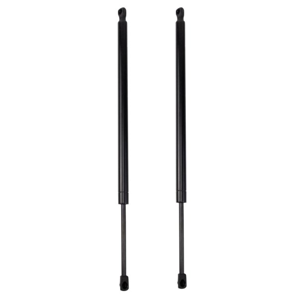 TRQ® - Driver and Passenger Side Back Glass Lift Support Set