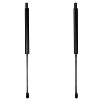 TRQ® - Driver and Passenger Side Liftgate Lift Support Set