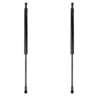 TRQ® - Driver and Passenger Side Liftgate Lift Support Set