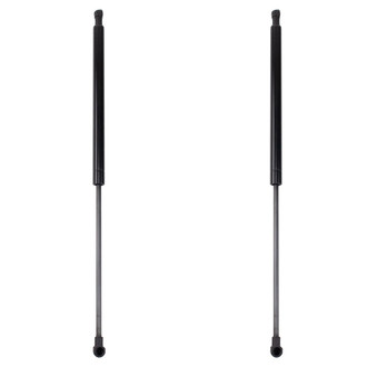 TRQ® - Driver and Passenger Side Liftgate Lift Support Set