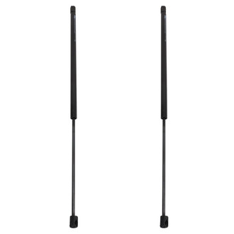 TRQ® - Driver and Passenger Side Liftgate Lift Support Set