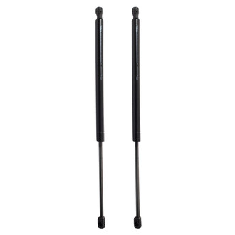 TRQ® - Driver and Passenger Side Liftgate Lift Support Set