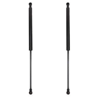 TRQ® - Driver and Passenger Side Liftgate Lift Support Set