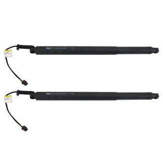 TRQ® - Driver and Passenger Side Liftgate Lift Support Set