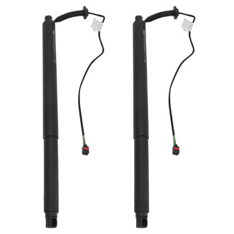 TRQ® - Driver and Passenger Side Liftgate Lift Support Set