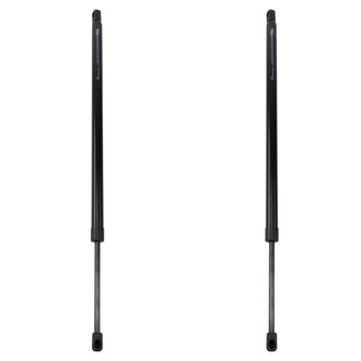 TRQ® - Driver and Passenger Side Liftgate Lift Support Set