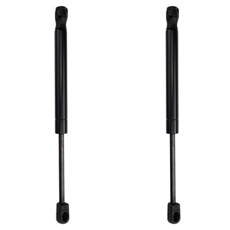 TRQ® - Driver and Passenger Side Trunk Lift Support Set