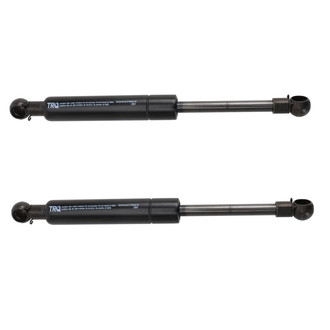 TRQ® - Driver and Passenger Side Trunk Lift Support Set