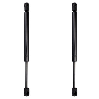 TRQ® - Driver and Passenger Side Trunk Lift Support Set