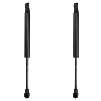 TRQ® - Driver and Passenger Side Trunk Lift Support Set