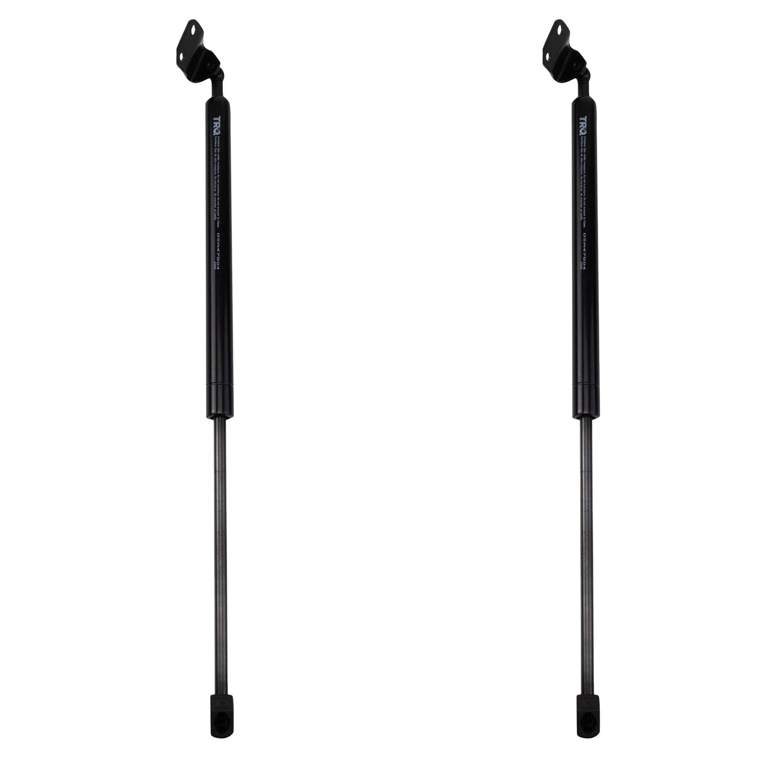 Nissan 350Z Trunk & Tailgate Lift Supports | CARiD