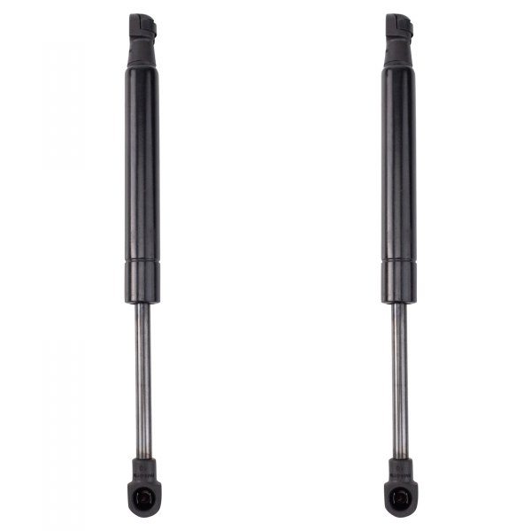 TRQ® - Driver and Passenger Side Trunk Lift Support Set