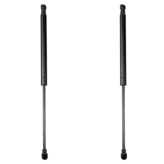 TRQ® - Driver and Passenger Side Trunk Lift Support Set