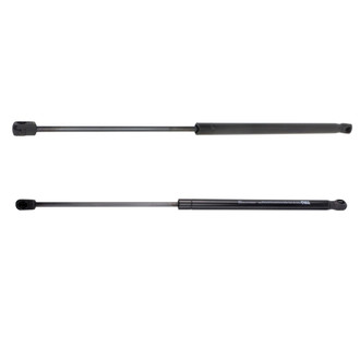 TRQ® - Driver and Passenger Side Liftgate Lift Support Set
