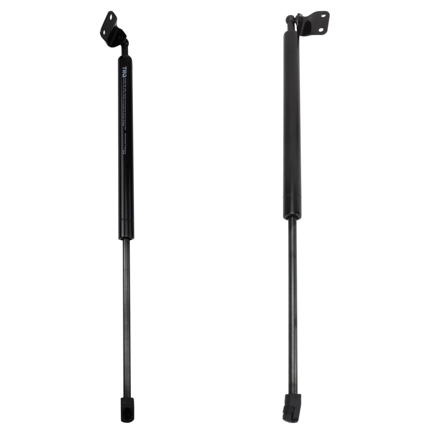 Nissan 350Z Trunk & Tailgate Lift Supports | CARiD