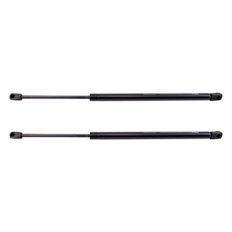 TRQ® - Back Glass Lift Support